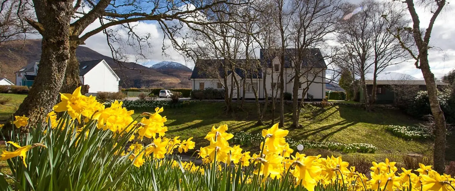 Photo from Achaderry Estate's website