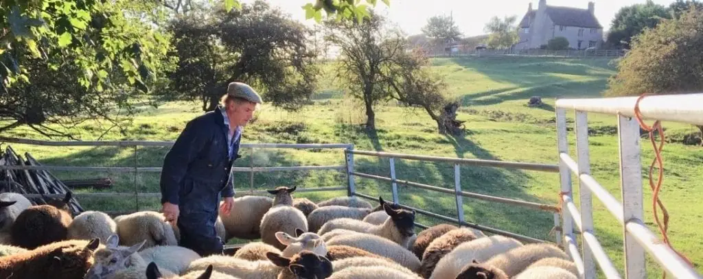 Photo from Bowthorpe Park Farm's website