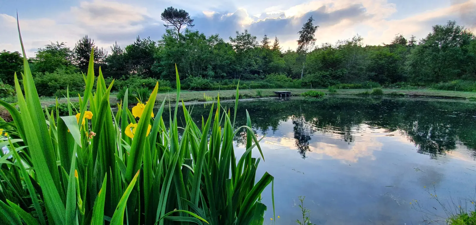 Photo from Breckenhill's website