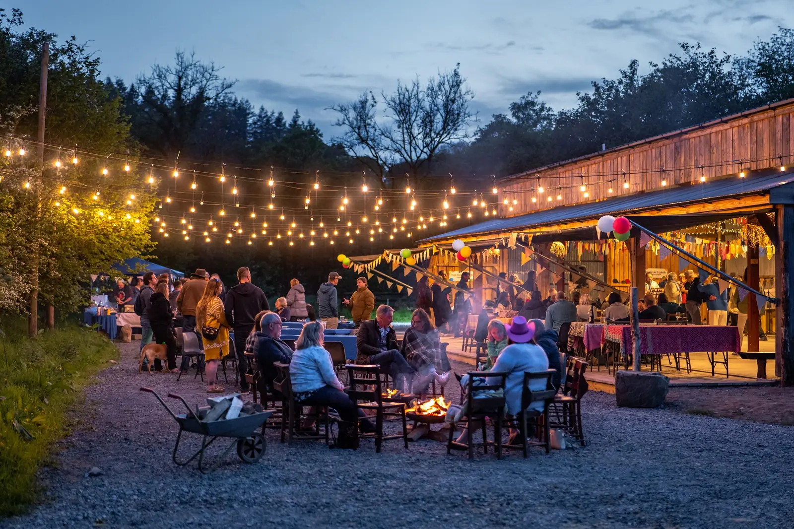 Photo from Camp Plas's website