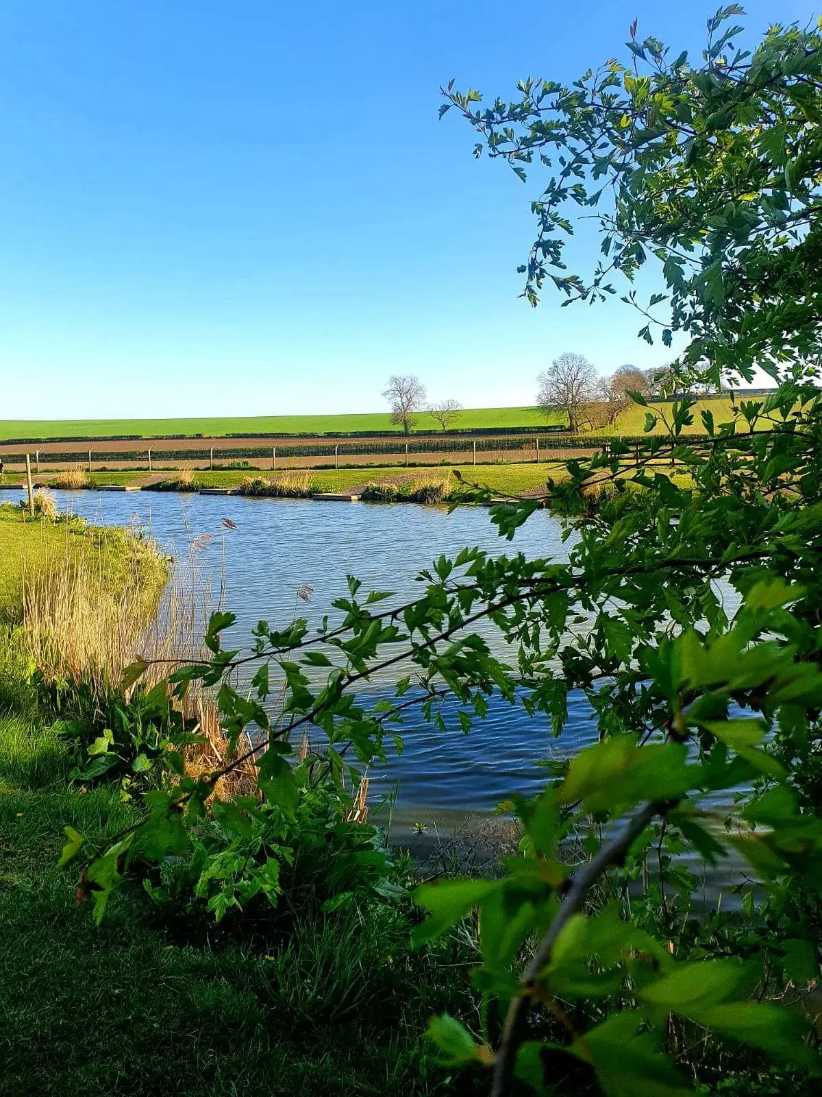 Photo from Eden Grange's website