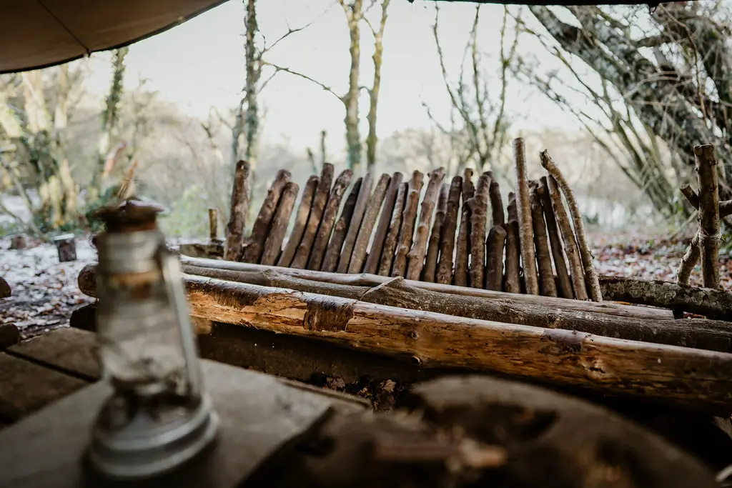 Photo from Finnebrogue Woods's website