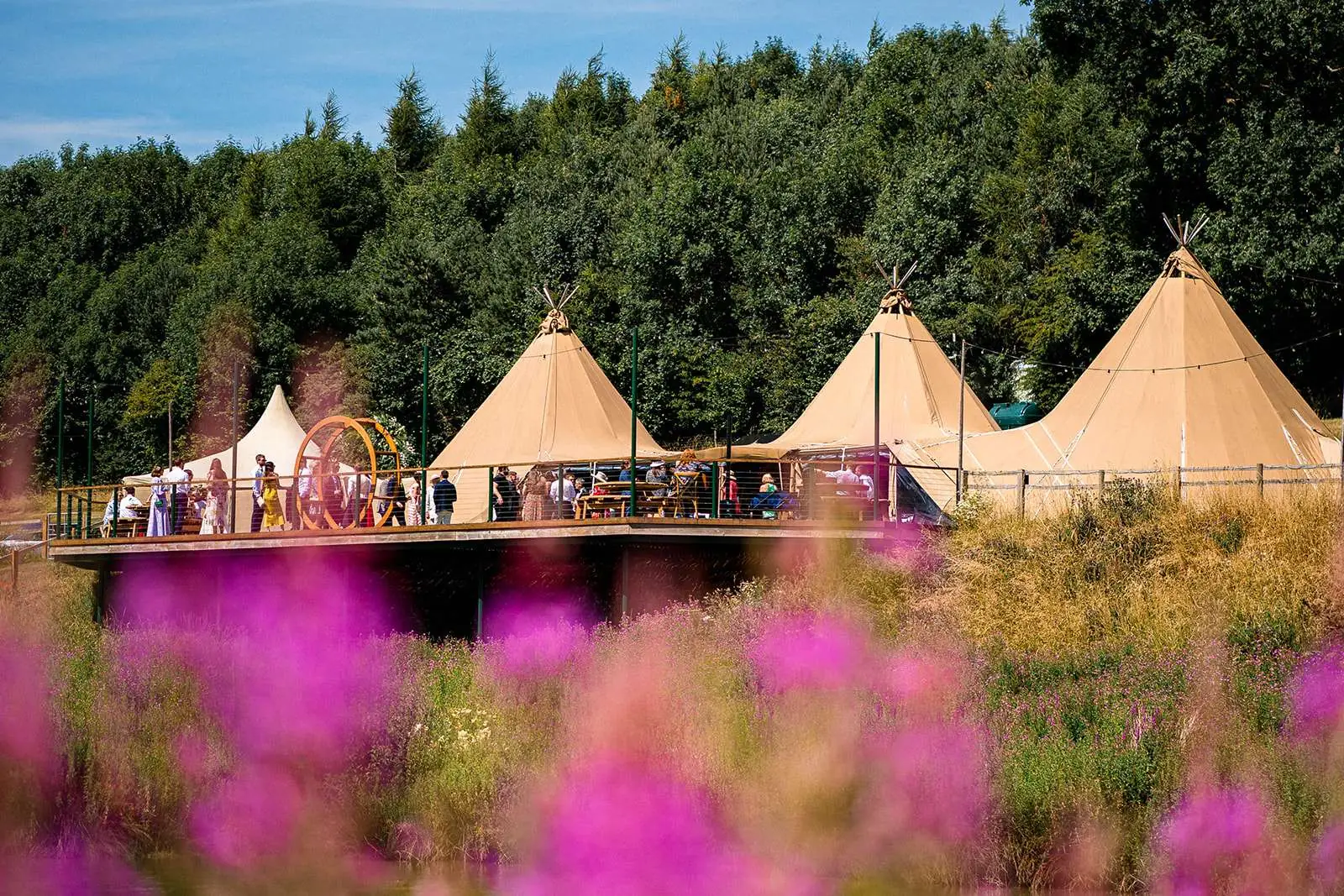 Photo from Hadsham Farm's website