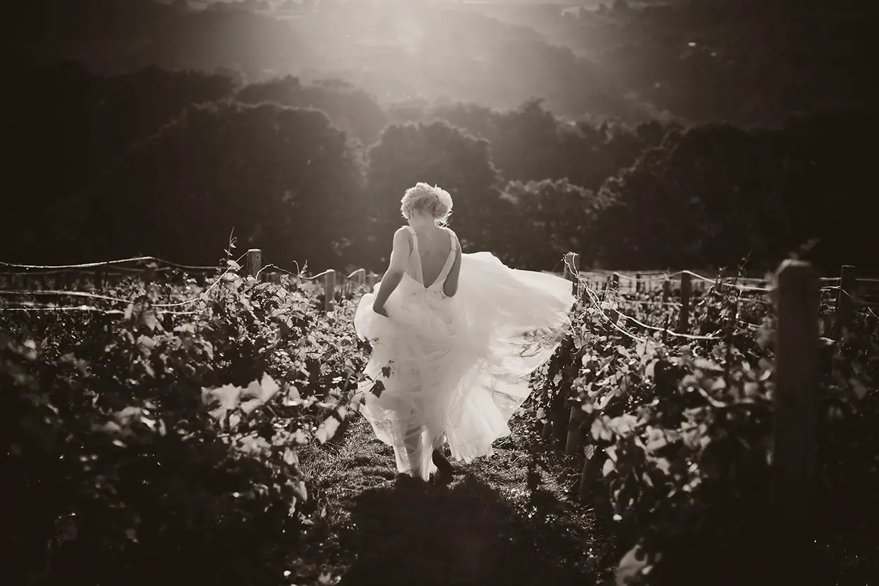 Photo from Holmfirth Vineyard's website