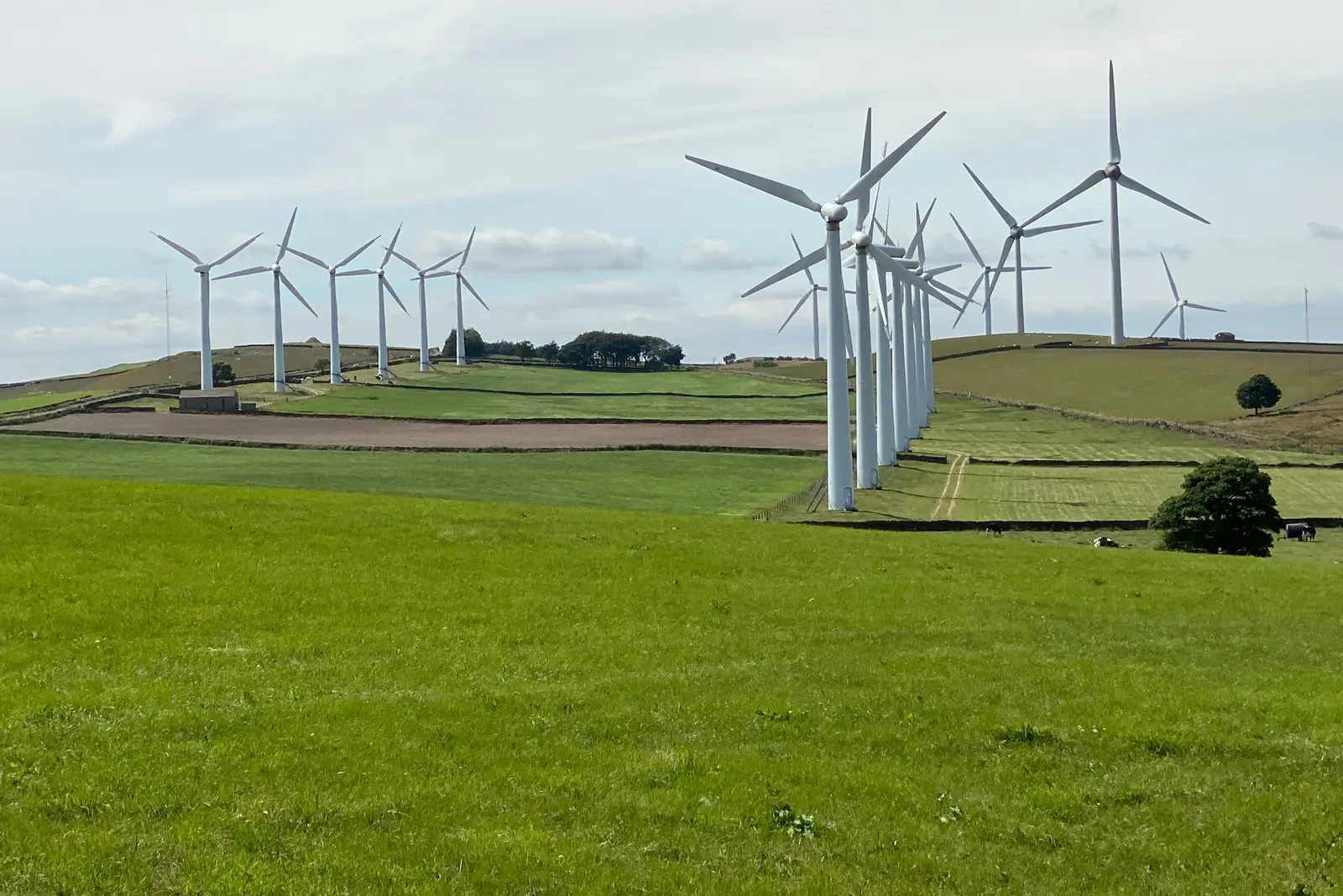 Photo from Ingfield Farm Camping's website