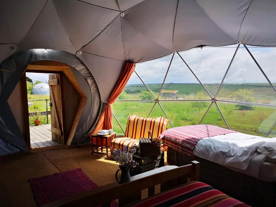 Photo from Koa Tree Camp's website