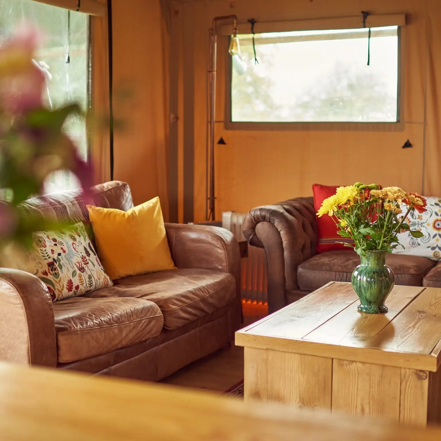 Photo from Tall Trees Glamping's website