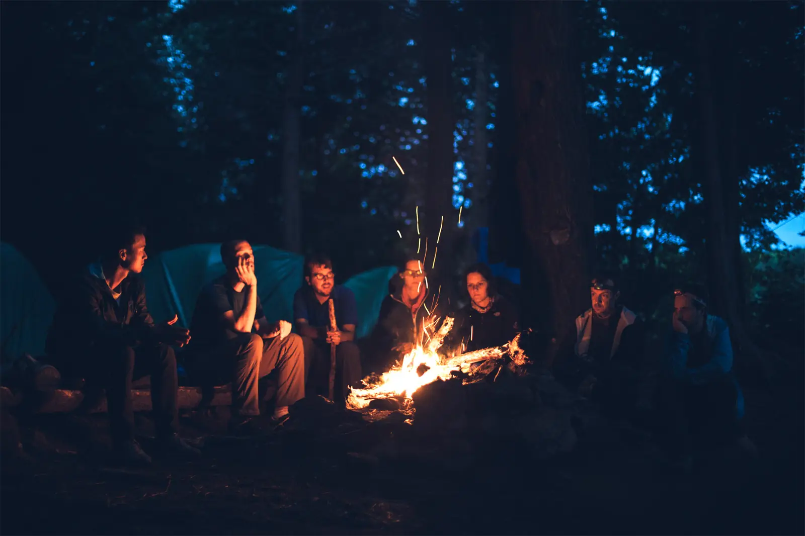 Photo from Wrekin Forest Events's website
